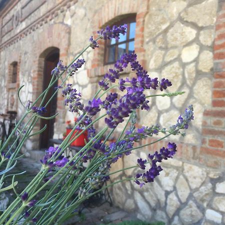 Hotel Levendula Porta és Pajtaszínház à Orfű Extérieur photo